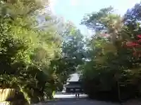 御寺 泉涌寺の景色