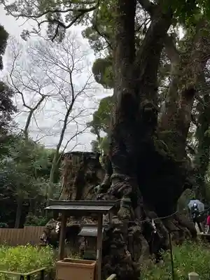 來宮神社(静岡県)