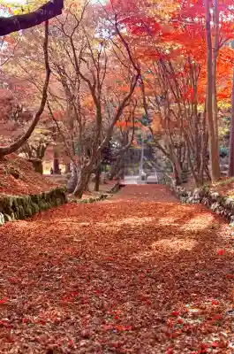 鶏足寺(滋賀県)