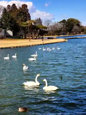 三光稲荷神社(福島県)