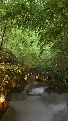 來宮神社(静岡県)