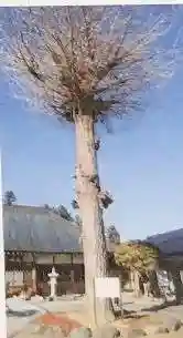 金礼寺(福島県)