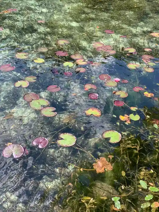 根道神社(岐阜県)
