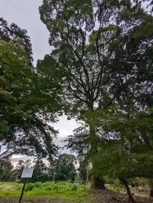 醍醐寺(京都府)
