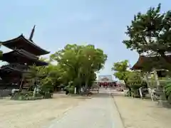 甚目寺の建物その他