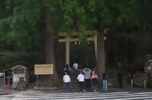 飛瀧神社（熊野那智大社別宮）の{uncategorized: "未分類", other: "その他", undefined: "問題あり", building: "その他建物", grave: "お墓", sacred_gate: "鳥居", guardian: "狛犬", statue: "像", buddha: "仏像", history: "歴史", nature: "自然", garden: "庭園", animal: "動物", pagoda: "塔", temizu: "手水舎", mountain_gate: "山門・神門", sanctuary: "本殿・本堂", subordinate: "末社・摂社", art: "芸術", scenery: "景色", jizo: "地蔵", ema: "絵馬", goshuin: "御朱印", omikuji: "おみくじ", items: "授与品その他", amulet: "お守り", goshuincho: "御朱印帳", eats: "食事", festival: "お祭り", votive_dance: "神楽", shichigosan: "七五三参", wedding: "結婚式", experience: "体験その他", initially: "初詣", around: "周辺", anti_infection: "感染症対策"}