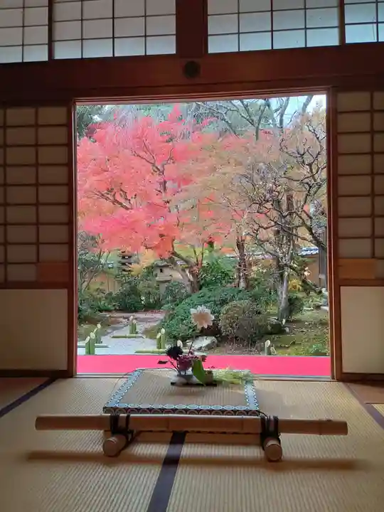 光明寺(粟生光明寺)(京都府)