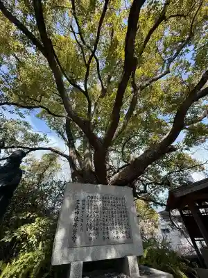 真田山 三光神社の{uncategorized: "未分類", other: "その他", undefined: "問題あり", building: "その他建物", grave: "お墓", sacred_gate: "鳥居", guardian: "狛犬", statue: "像", buddha: "仏像", history: "歴史", nature: "自然", garden: "庭園", animal: "動物", pagoda: "塔", temizu: "手水舎", mountain_gate: "山門・神門", sanctuary: "本殿・本堂", subordinate: "末社・摂社", art: "芸術", scenery: "景色", jizo: "地蔵", ema: "絵馬", goshuin: "御朱印", omikuji: "おみくじ", items: "授与品その他", amulet: "お守り", goshuincho: "御朱印帳", eats: "食事", festival: "お祭り", votive_dance: "神楽", shichigosan: "七五三参", wedding: "結婚式", experience: "体験その他", initially: "初詣", around: "周辺", anti_infection: "感染症対策"}