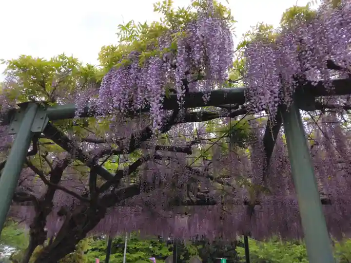 慈恩寺(埼玉県)