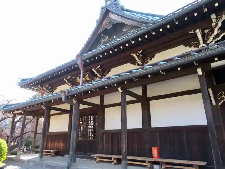豪徳寺の本殿・本堂