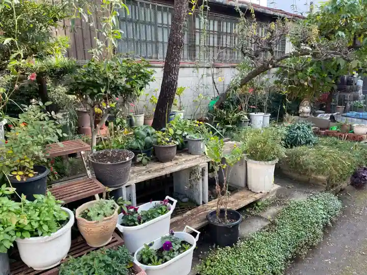 壺井堂(壷井の茶所)(京都府)