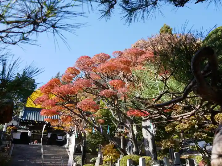 照光寺のその他建物