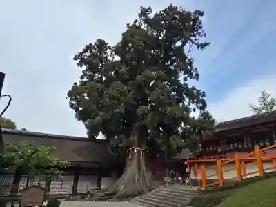春日大社(奈良県)