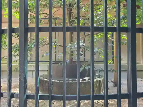 清荒神清澄寺の自然