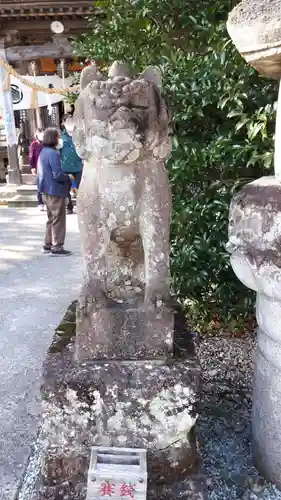 秋保神社の狛犬