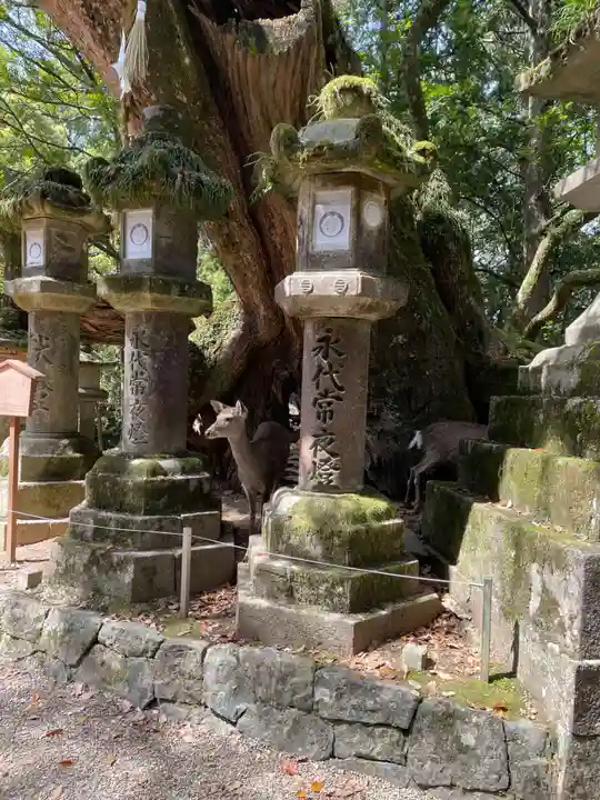 春日大社(奈良県)