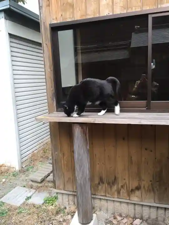 道祖神社の動物