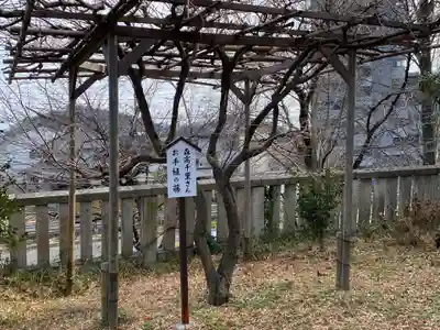 八雲神社(緑町)(栃木県)