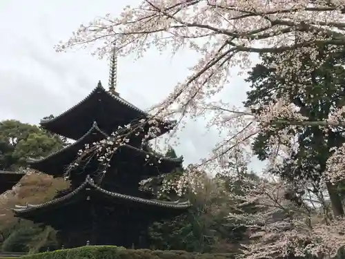 園城寺（三井寺）の建物その他