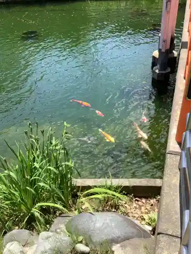 真清田神社の庭園