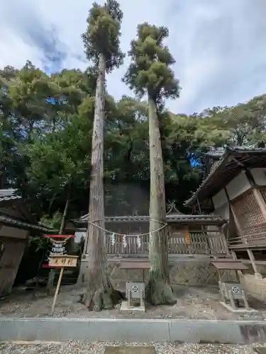 須佐神社の{uncategorized: "未分類", other: "その他", undefined: "問題あり", building: "その他建物", grave: "お墓", sacred_gate: "鳥居", guardian: "狛犬", statue: "像", buddha: "仏像", history: "歴史", nature: "自然", garden: "庭園", animal: "動物", pagoda: "塔", temizu: "手水舎", mountain_gate: "山門・神門", sanctuary: "本殿・本堂", subordinate: "末社・摂社", art: "芸術", scenery: "景色", jizo: "地蔵", ema: "絵馬", goshuin: "御朱印", omikuji: "おみくじ", items: "授与品その他", amulet: "お守り", goshuincho: "御朱印帳", eats: "食事", festival: "お祭り", votive_dance: "神楽", shichigosan: "七五三参", wedding: "結婚式", experience: "体験その他", initially: "初詣", around: "周辺", anti_infection: "感染症対策"}