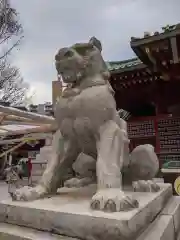 神田神社（神田明神）の狛犬