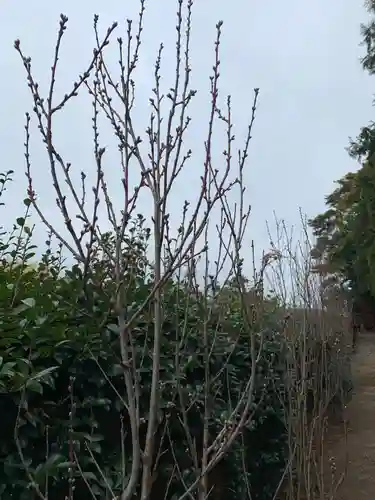 彌都加伎神社の景色