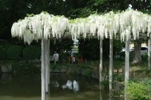 玉敷神社(埼玉県)