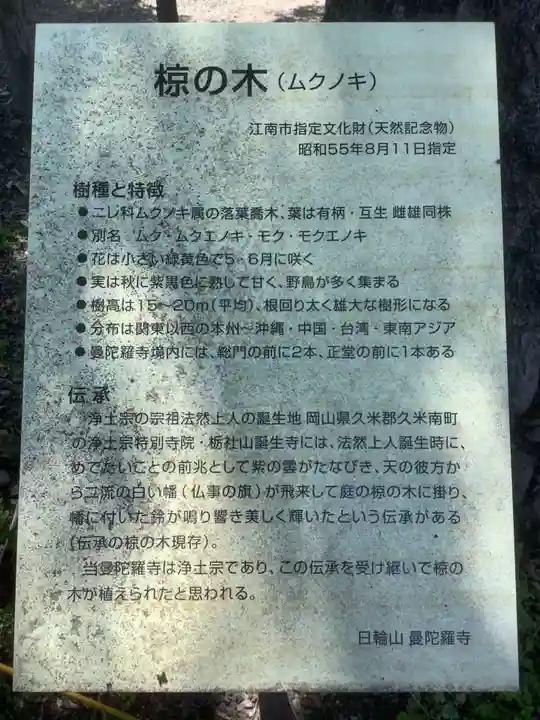 曼陀羅寺のその他建物