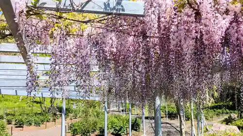 金蛇水神社(宮城県)