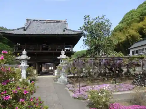 長泉寺の山門