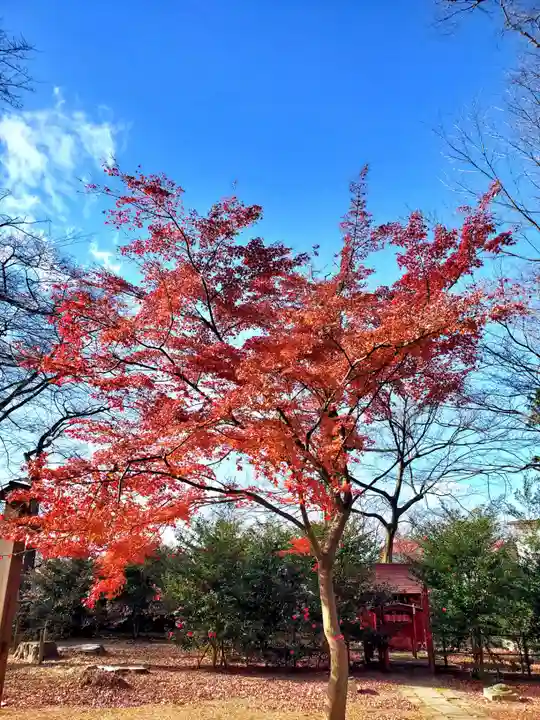 神炊館神社 ⁂奥州須賀川総鎮守⁂(福島県)