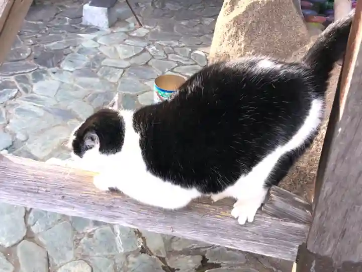 王子神社の動物