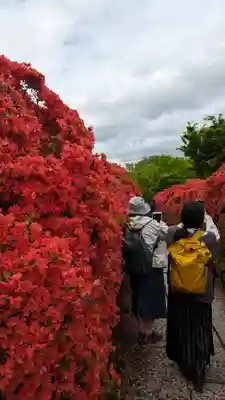 長岡天満宮(京都府)