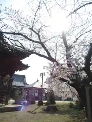 慶龍寺(茨城県)