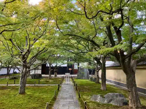 大徳寺(京都府)