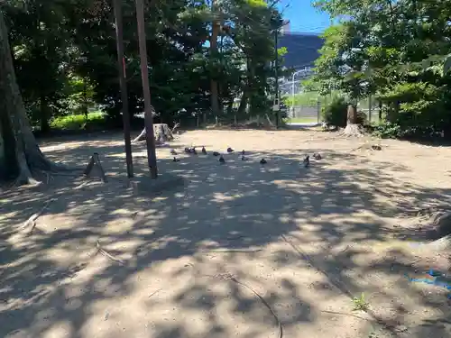 菊田神社(千葉県)