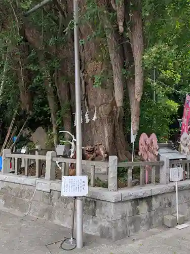 海南神社(神奈川県)