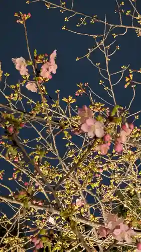 東寺（教王護国寺）(京都府)
