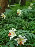 鹿島大神宮(福島県)