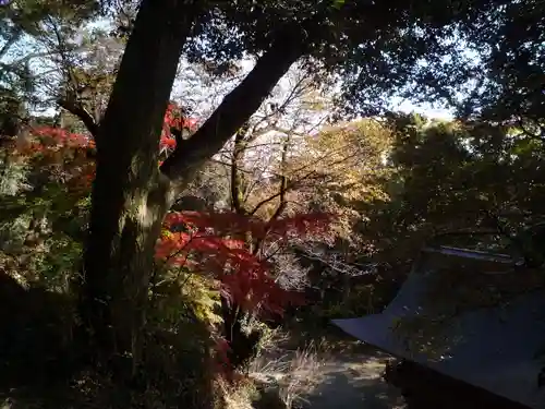 宝樹院小山寺の自然