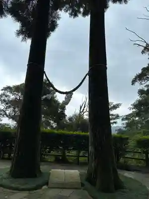 霧島東神社(宮崎県)