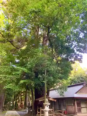 鴨鳥五所神社(茨城県)