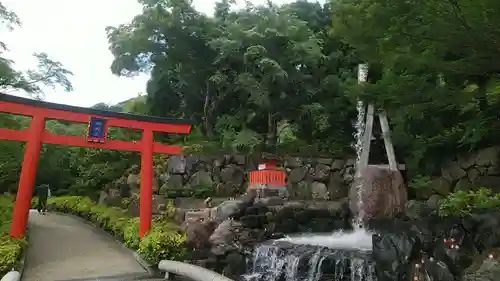 勝尾寺の鳥居