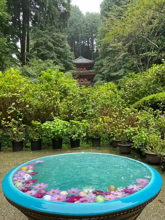 岩船寺(京都府)