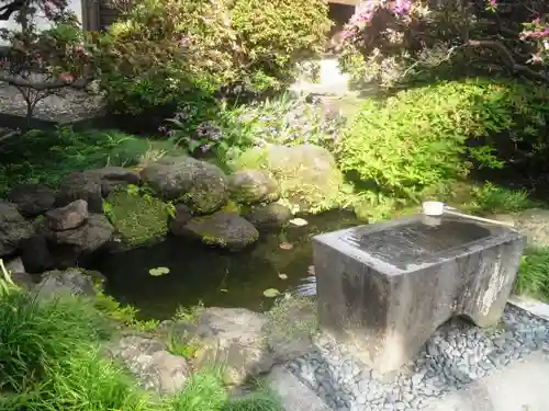 安養院　(田代寺）の庭園