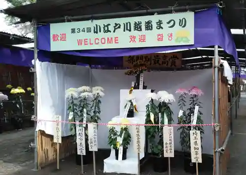 喜多院のお祭り