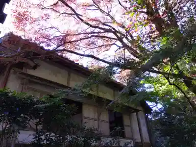 蓮成院(京都府)