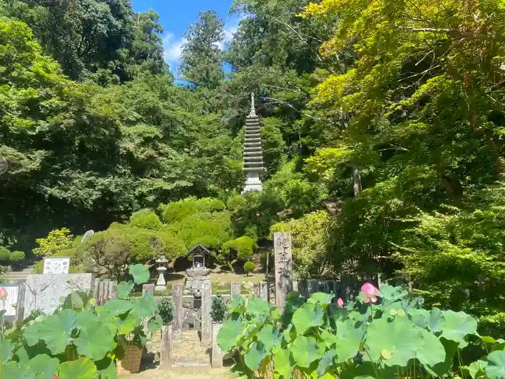 岡寺(龍蓋寺)(奈良県)