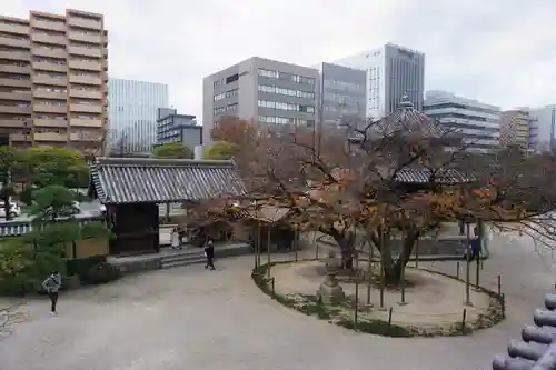 東長寺の景色